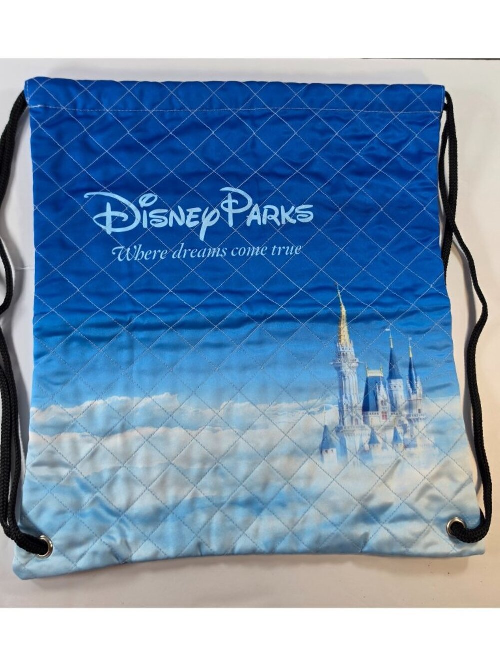 DISNEY PARKS STRING BAG CINCH SACK  BACKPACK WHERE DREAMS COME TRUE MILLION